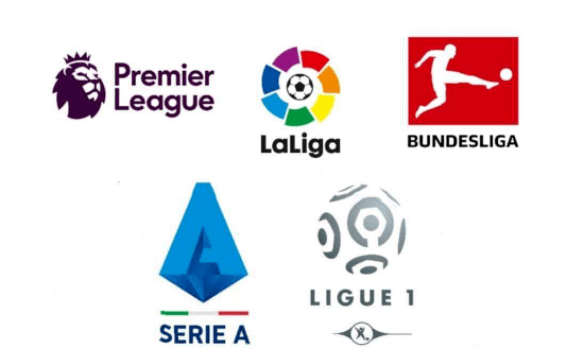 中的每一个 中的每一个